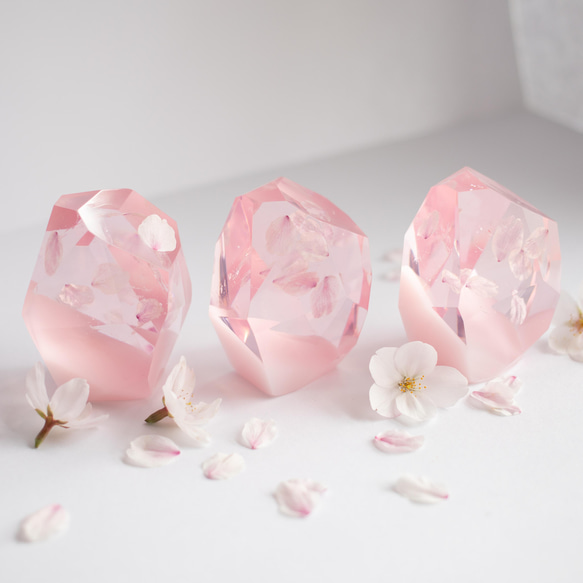 桜花石 Cherry blossom's Epoxite 2025年開花東京産のソメイヨシノを使用 2枚目の画像