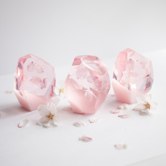 桜花石 Cherry blossom's Epoxite 2025年開花東京産の 桜花石 Cherry blossom's Epoxite 2025年開花東京産の