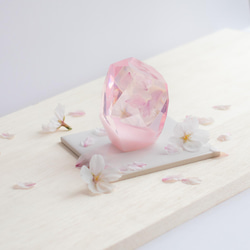 桜花石 Cherry blossom's Epoxite 2024年開花東京産のソメイヨシノを使用 7枚目の画像