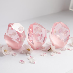 桜花石 Cherry blossom's Epoxite 2025年開花東京産のソメイヨシノを使用 3枚目の画像
