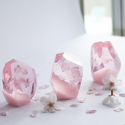 桜花石 Cherry blossom's Epoxite 2025年開花東京産のソメイヨシノを使用 10枚目の画像
