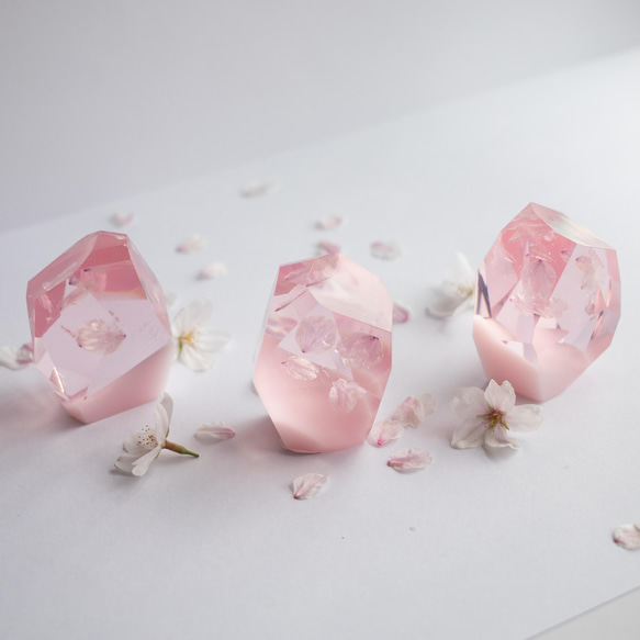 桜花石 Cherry blossom's Epoxite 2025年開花東京産のソメイヨシノを使用 9枚目の画像