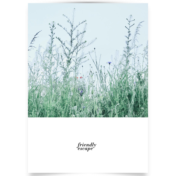 写真・デザインポスター friendly escape / 花 自然 植物 エレガント 風景写真 6枚目の画像