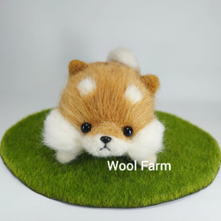 ふせ柴犬　～Wool Farm～　羊毛フェルト 1枚目の画像