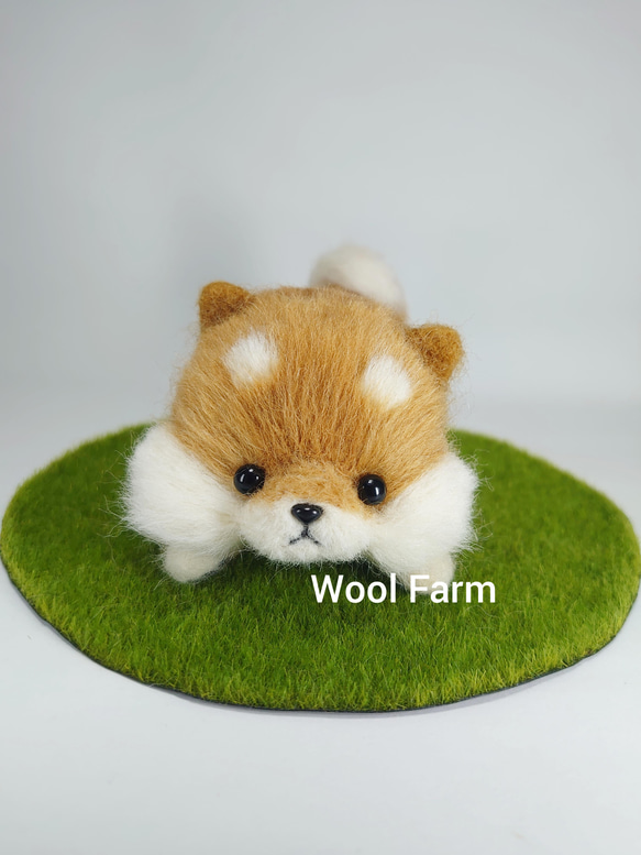 ふせ柴犬　～Wool Farm～　羊毛フェルト 1枚目の画像