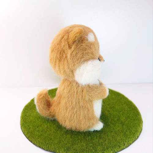 四つ葉のクローバー柴犬 ～Wool Farm～ 羊毛フェルト 羊毛フェルト