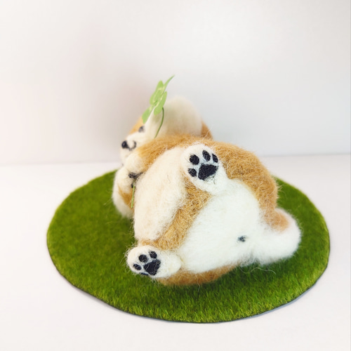 四つ葉のクローバー柴犬 ～Wool Farm～ 羊毛フェルト 羊毛フェルト