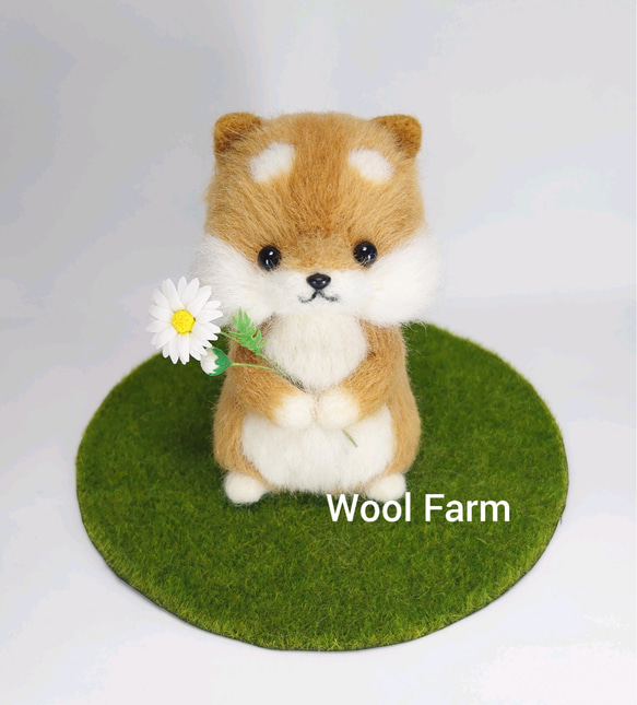 マーガレット柴犬　～Wool Farm～　羊毛フェルト 1枚目の画像