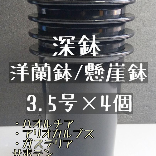 専用　懸崖鉢 ACB34FE6-E3F4-4BA8-9ECD-