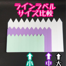 ラインラベル 白 ホワイト 100枚 園芸ラベル 梅 黒松 もみじ 紅紫檀 五葉松 クチナシ ツバキ 5枚目の画像