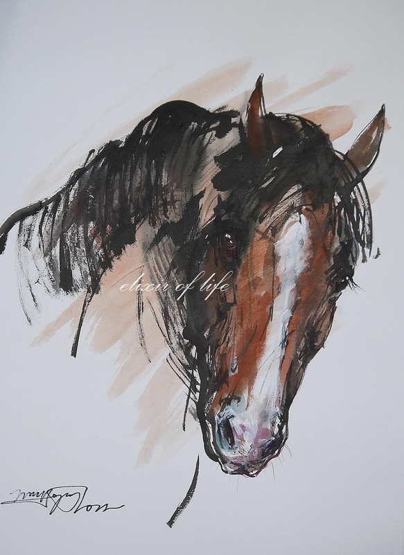 ばん馬のポートレート(墨、水彩、水彩画用紙、38cm×２7ｃｍ) 1枚目の画像
