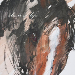 ばん馬のポートレート(墨、水彩、水彩画用紙、38cm×２7ｃｍ) 2枚目の画像