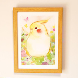 うちの子インコの羊毛フェルト絵のオーダーメイド（セキセイインコ