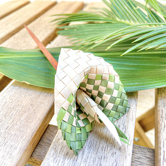 ＊オーシャンページ＊　ミニアンスリウム　ヘアピック オーシャンページ＊ ミニアンスリウム ヘアピック オーシャン