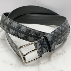 ✨極希少✨ センザンコウ 穿山甲 高品質 エンボス加工 レザー 豪華5点セット a4c269b4cdf541449d31e86b8b09ff