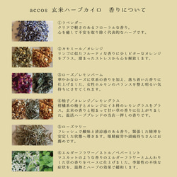 【玄米ハーブカイロ】栽培中農薬や肥料を使わず育てたハーブ使用／オーガニックコットングレージュ 選べるハーブ カバー付 8枚目の画像