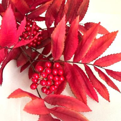 染花・布花　ナナカマド１枝　　　季節の移ろいをお部屋なかで・秋のおすすめインテリア・季節感を演出 4枚目の画像