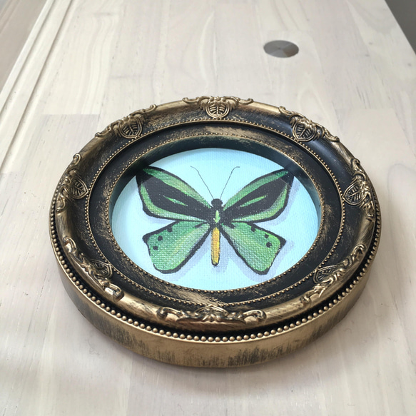 Common Green Birdwing 緑の蝶々　バタフライ　アクリル画 4枚目の画像