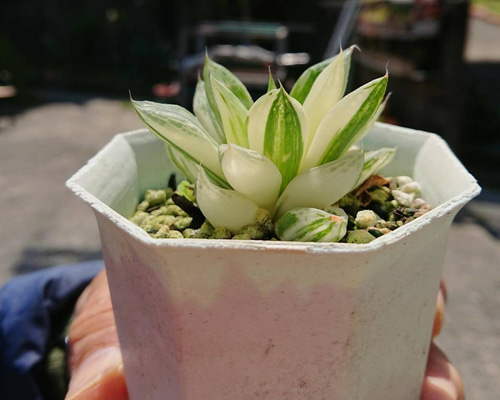 85a6159650feafdeda973426395d40