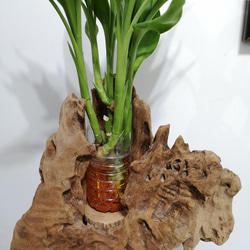 【木製フラワースタンド】フラワースタンドフラワースタンドディスプレイスタンド鉢植え植物スタンド多肉植物 3枚目の画像