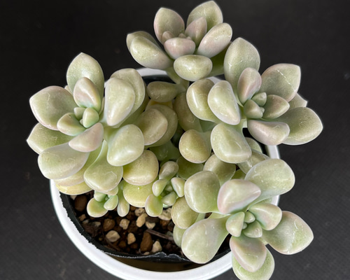 b1d6e96d0b616c34d893b409f8ce46