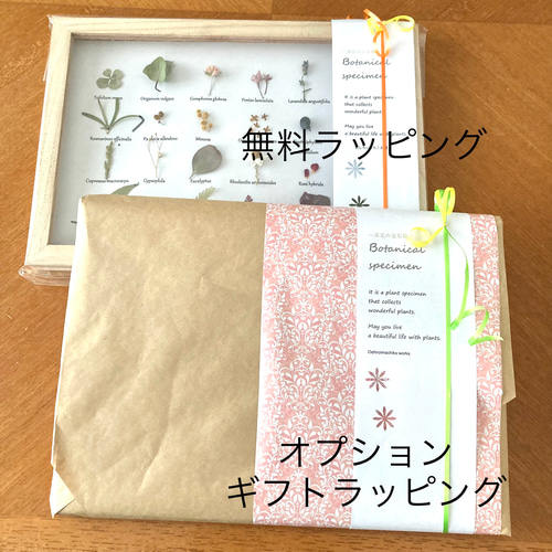 扉付き植物標本15種の草花たち・:*+. 壁掛け 花 かわいい ボタニカル