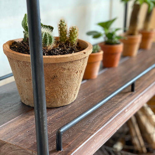 数量限定 PSA 植物棚 観葉植物 プランターシェルフ フラワースタンド