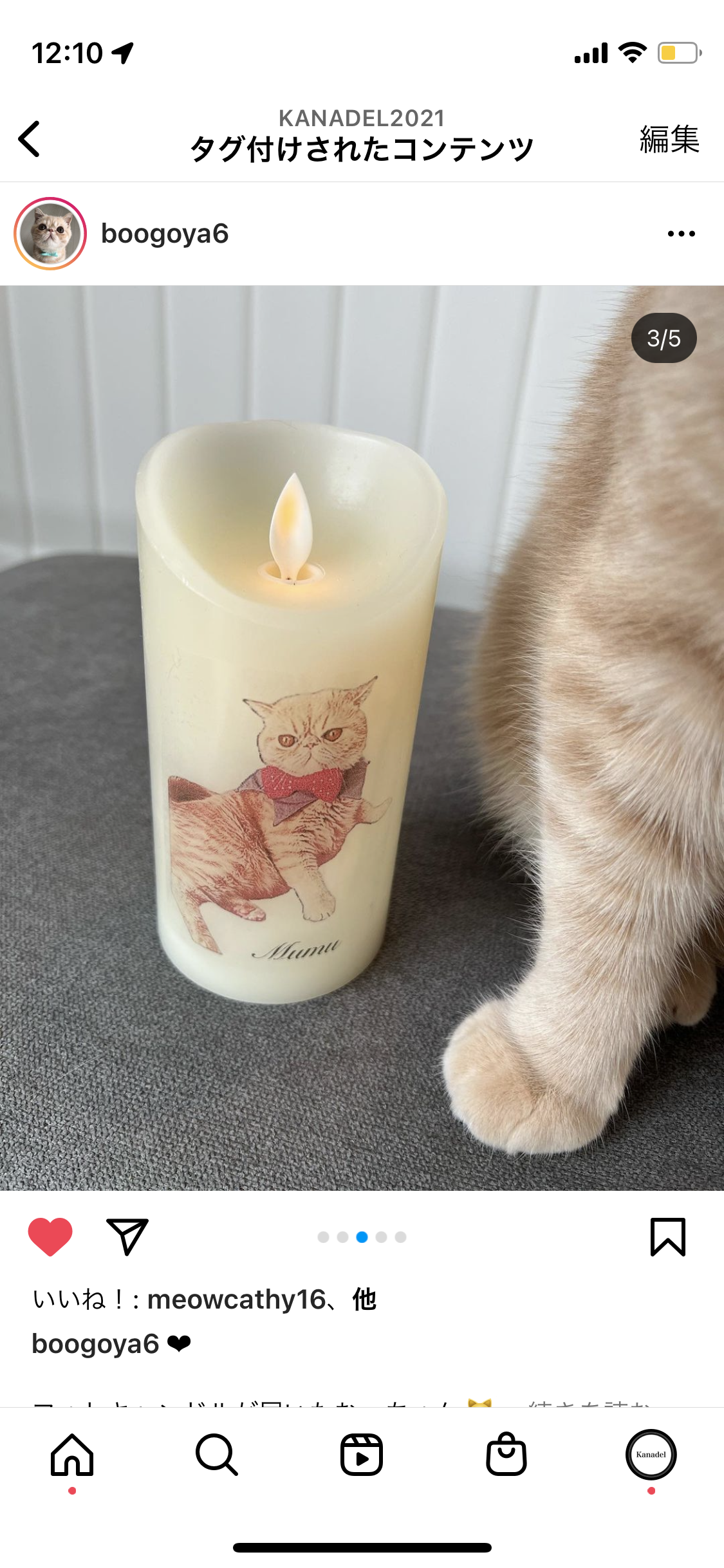 フォトキャンドル　L  誕生日　記念日