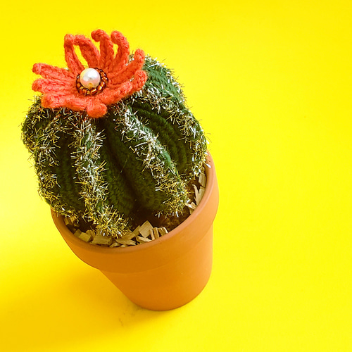 S*Y様 ノッポサボテンさんのあみぐるみ◎ S*Y様 ノッポサボテン