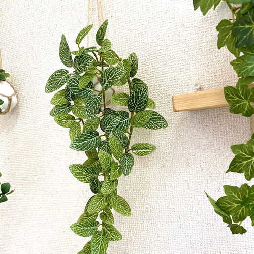 光触媒　人工観葉植物　フェイクグリーン　フィットニアハンギング 25cm 光触媒 人工観葉植物 インテリアグリーン フィットニア MR