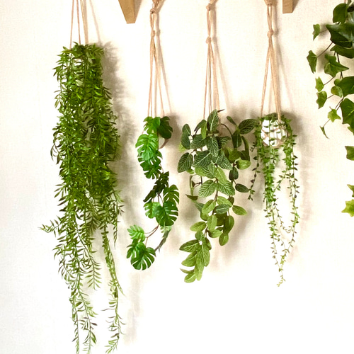 フィットニアのハンギングプランツ(中央・1個)フェイクグリーン