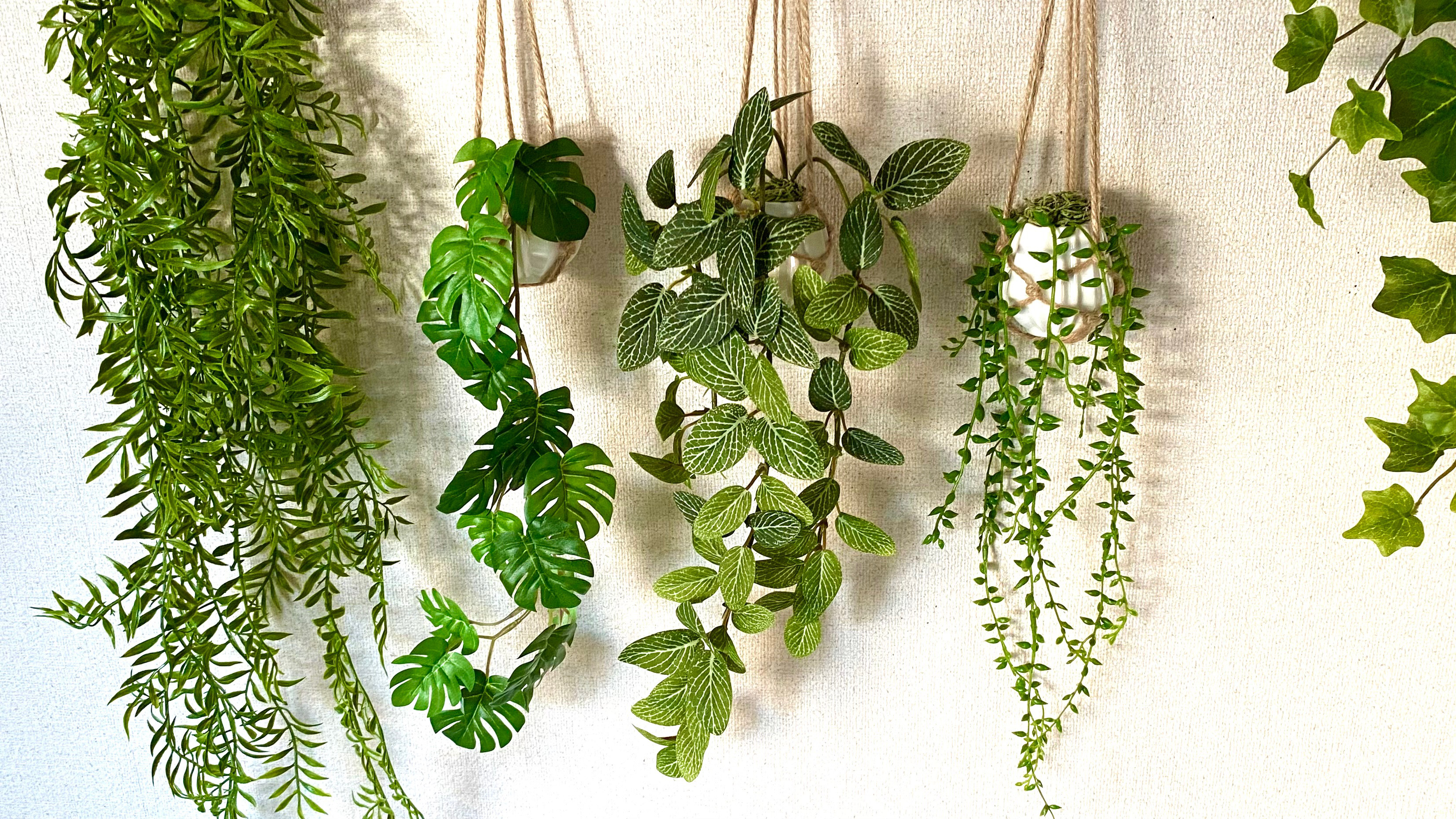 光触媒　人工観葉植物　フェイクグリーン　フィットニアハンギング 25cm フィットニア ジュートハンギング - フェイクグリーン専用通販