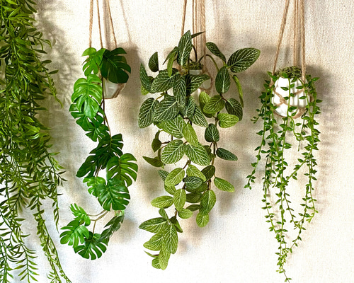 光触媒　人工観葉植物　フェイクグリーン　フィットニアハンギング 25cm 光触媒 人工観葉植物 インテリアグリーン フィットニア MR