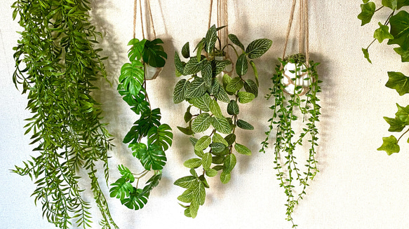 植物いろいろハンギング フィットニアのハンギングプランツ(中央・1個)フェイクグリーン