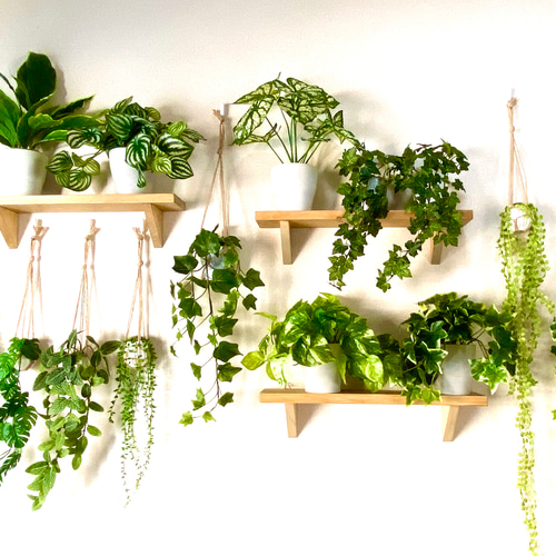 光触媒　人工観葉植物　フェイクグリーン　フィットニアハンギング 25cm fittonia-jute-hanging_main.jpg