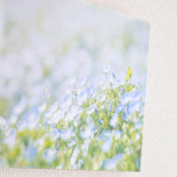 和紙と木のインテリアフォトパネル / blue spring 3枚目の画像