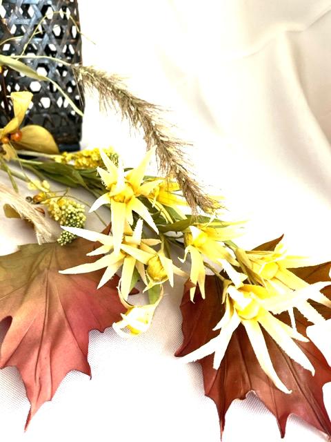 装飾 本 インテリア 洋書◆花のデコレーション写真集 植物