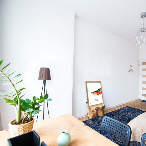 アマゾン 魚 送料無料 アートポスター ポスター アート/seiで