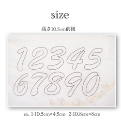 Happy Birthday 数字付き（1つ）* standard タイプ * ブロンズ　虫ピン付き 4枚目の画像