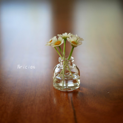 摘んできたお花を飾ったような　さりげなさが可愛い花 マトリカリア ✿クレイフラワーNO.MWＭ1−5 2枚目の画像