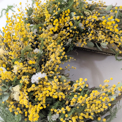 森の月 ミモザの三日月ドライフラワーリース リース mamemona 通販