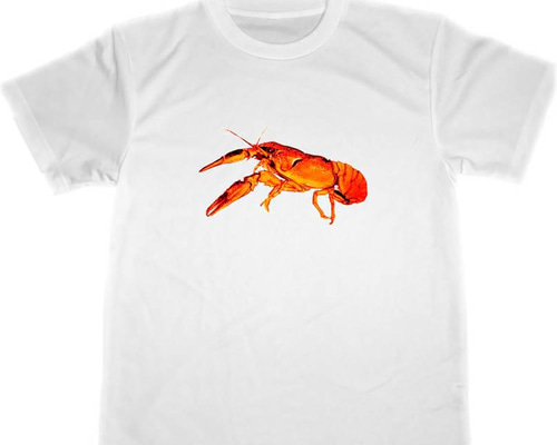 5b4b27ffe51085dc11240c1bff7ff7