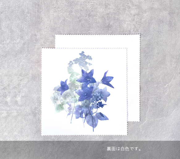 -桔梗- 花と草木のクリーニングクロス・メガネ拭き（15cm×15cm） 4枚目の画像