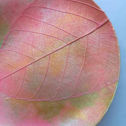【ONLY ONE ART】アクセサリートレイ（ピンク/サークル)　天然の葉を用いるボタニーペインティング装飾　 2枚目の画像