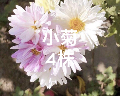 36e300664ed2915ebae52713712f93