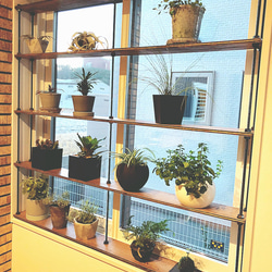 ボルトラック☆ Archuleta ① 古材風☆窓枠インテリア西海岸 棚