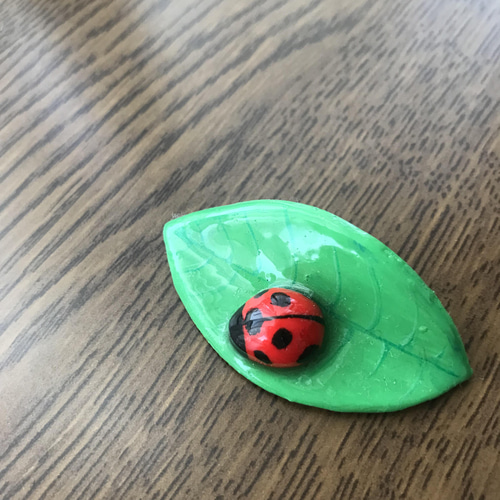 てんとう虫と葉っぱのブローチ ブローチ green-code 通販 13741887