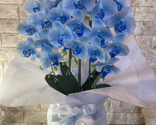 光触媒　人工観葉植物　ウォールグリーン　フェイクグリーン　胡蝶蘭　藤5本立 光触媒 人工観葉植物 ウォールグリーン フェイクグリーン リアル