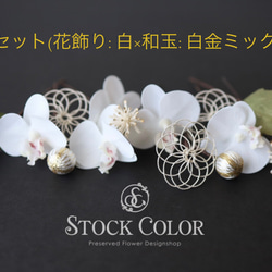 ミニ胡蝶蘭と水引飾りのヘッドドレス ヘアアクセサリー 髪飾り＊ウェディング 結婚式 成人式 白無垢 和装 卒業式 袴 7枚目の画像