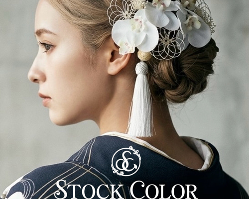 髪飾り 成人式 胡蝶蘭 ミニ 白 水引 ヘッドドレス ヘアアクセサリー